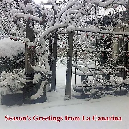 La Canarina Комо