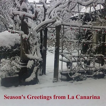 La Canarina Frühstückspension Como